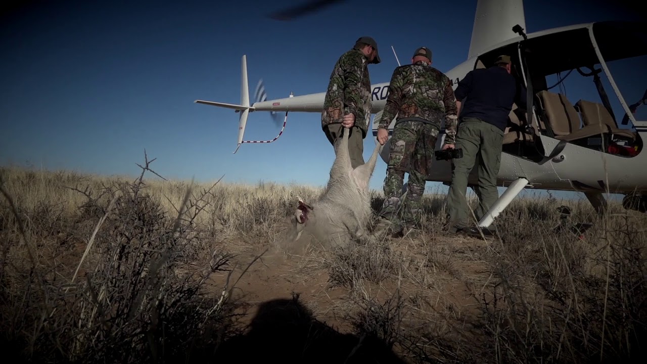 Bone Cold TV Season 5 Teaser