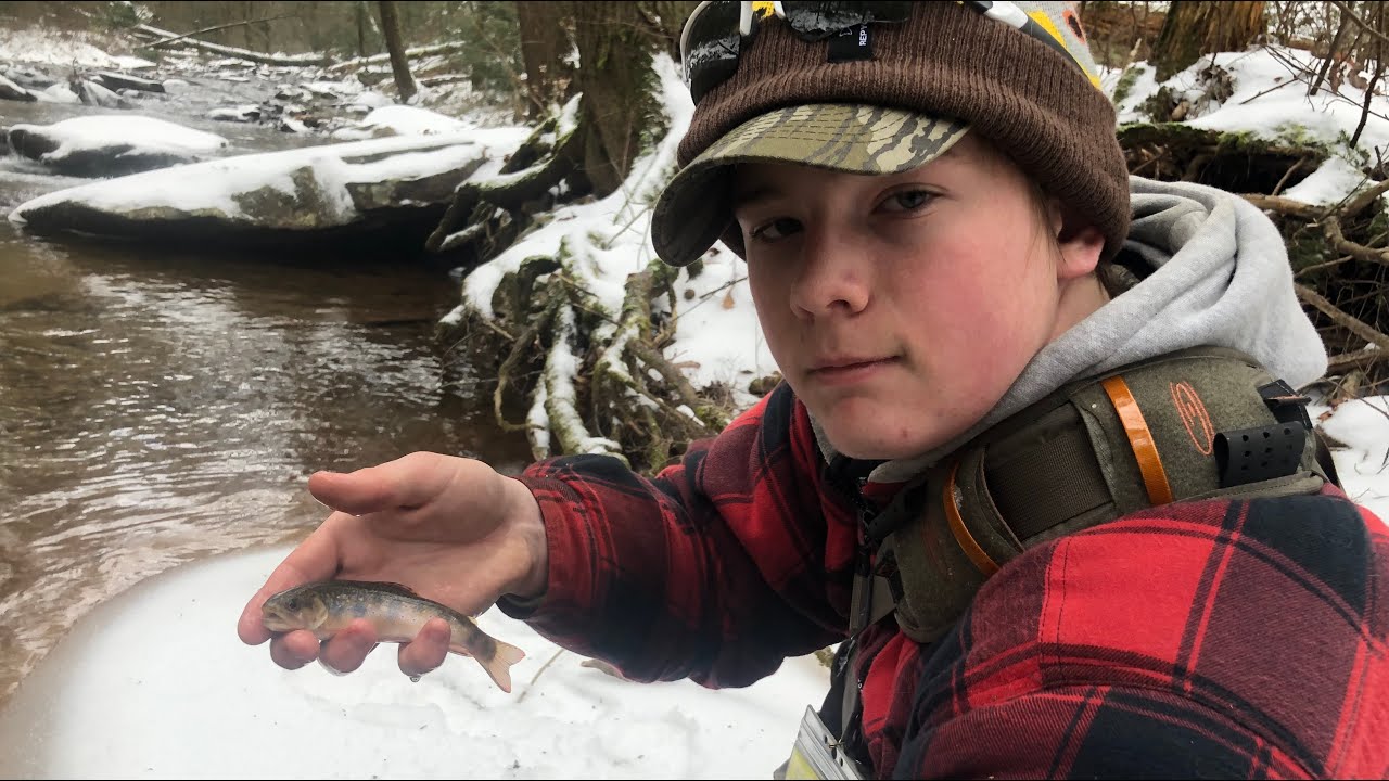 PA Native Brook Trout Fly Fishing 2020 Dauphin County YouTube