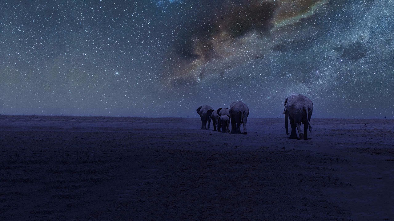 📺 Watch #AfricaLive on CGTN at 1000 GMT with Richard Nta