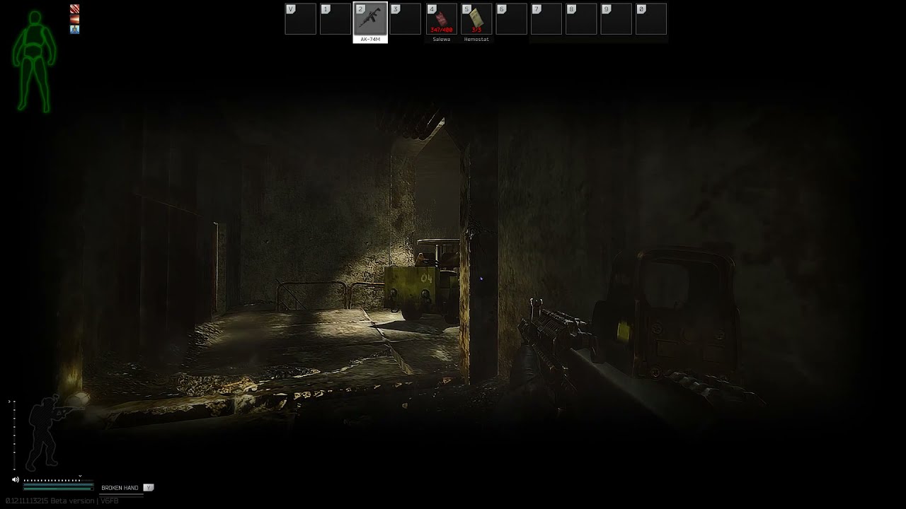 AK-74M (The survivalist path - Cold blooded)