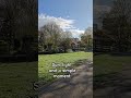 A Beautiful Day in the Netherlands