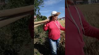 Bahçeme Neler Ektim❓🌱👩‍🌾Part 1|