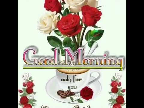 Good morning greetings and blessings