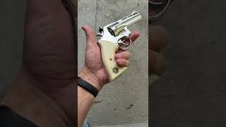 Taurus RT889, empunhadura velho oste