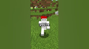 The HARDEST Server in Minecraft... 💀