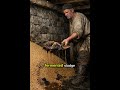 How Medieval Farmers Kept Grain Dry and Rat-Free Without Traps or Chemicals