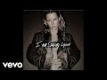 Shelby Lynne - Life Is Bad