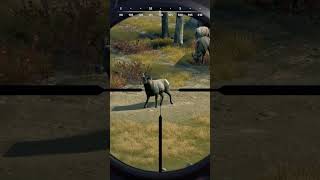Drop Shots (Way of the Hunter) #callofthewild #gaming #wayofthehunter #huntinggames