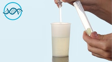 GetTested Urine Lab Test; Large Tube - Instructional Video