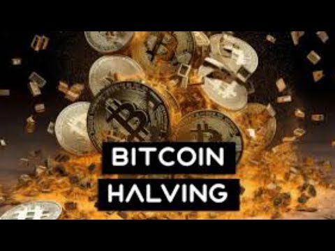 Bitcoin (BTC) Top Signal Sebelum Halving?? | Indonesia