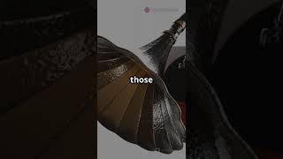 How Gramophones Play Music Without Electricity