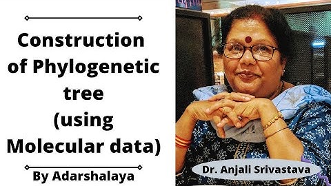 Construction of phylogenetic tree using molecular data