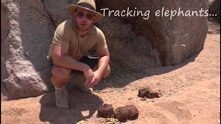 Explore with Sven Digital Extra: Elephant tracking