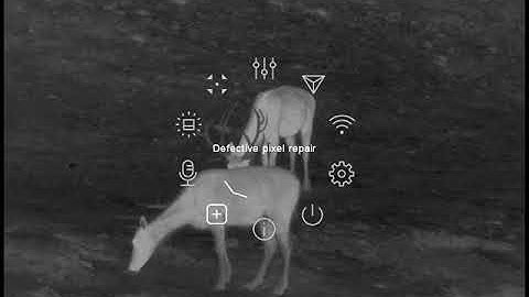 Pulsar KRYPTON FXG50 - Video with Main menu