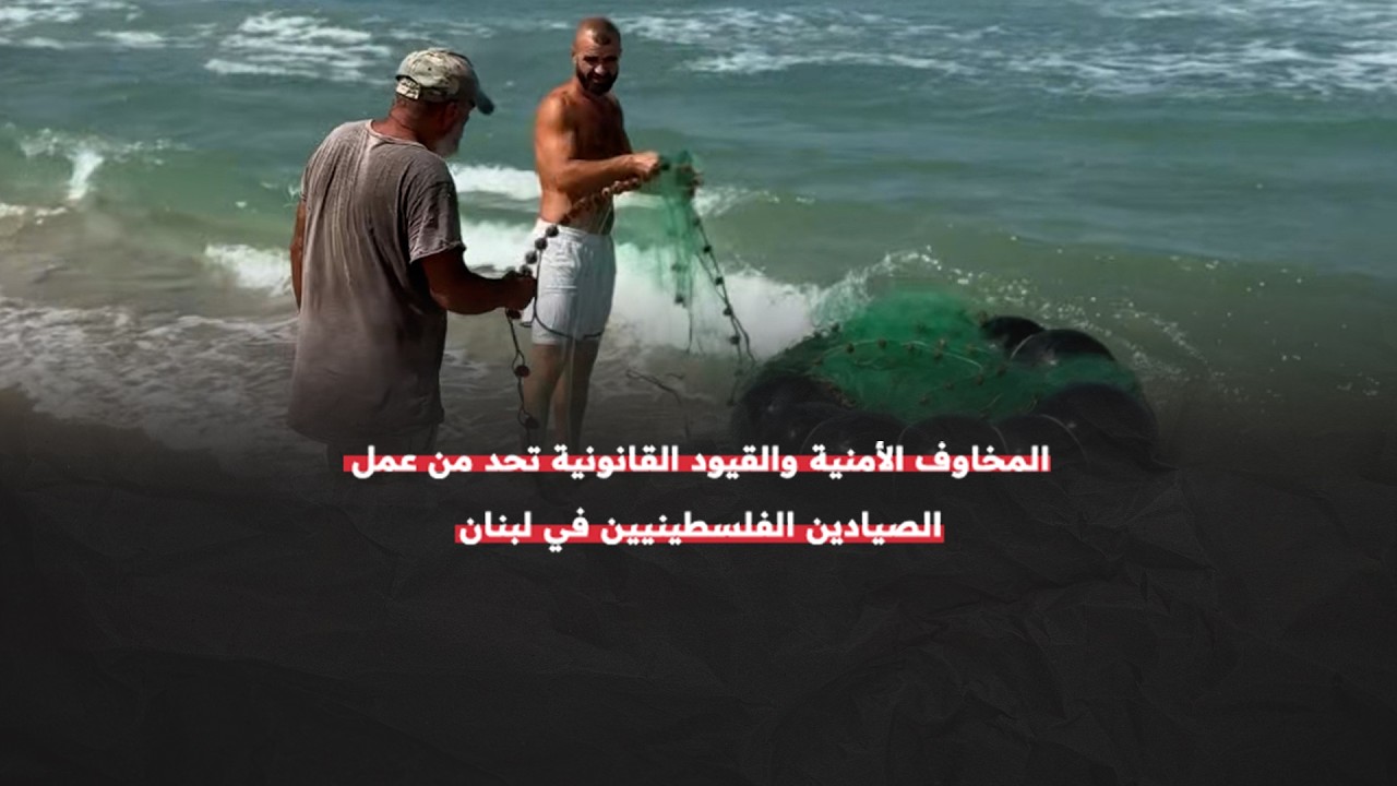 Displacement diaries in Gaza