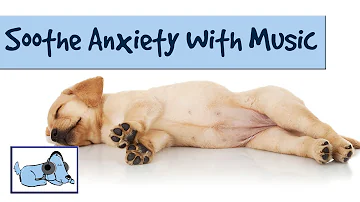 Calming Music to Soothe Your Dog's Anxiety and Barking