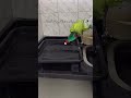 الأصول زيادة عن اللزوم مع ناس تفتقد الأصول غلط #اكسبلور