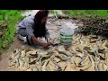 How To Catching Fishes From Muddy Make By Creative Girl