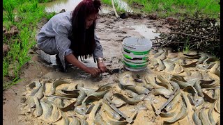 How To Catching Fishes From Muddy Make By Creative Girl