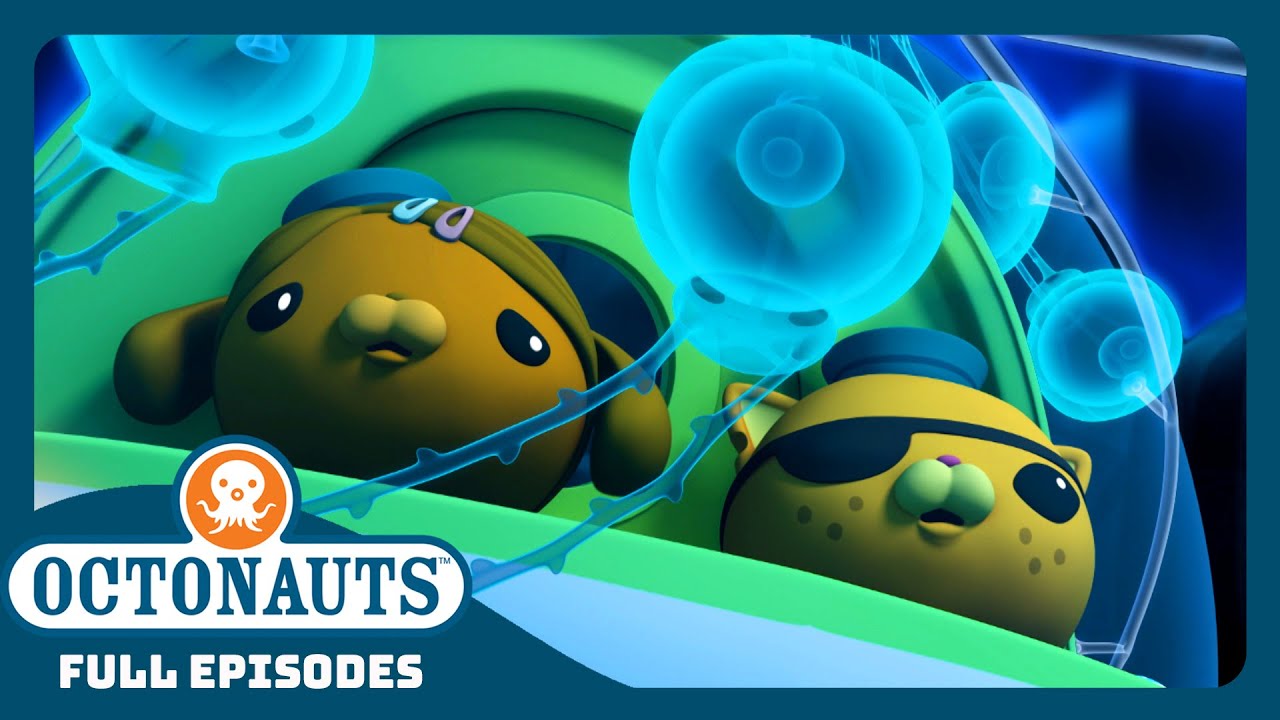 Octonauts 🪼the Siphonophore Season 3 Full Episodes Cartoons 