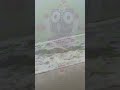 #jaijagannath #shorts #viral #trending #bhajan #status