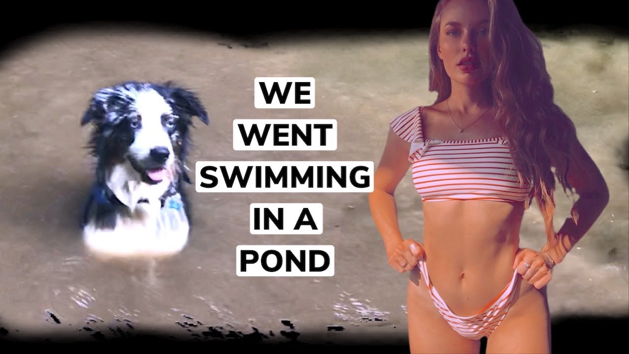 My Australian Shepherd learned HOW TO SWIM - FINALLY!! + dodging a hurricane