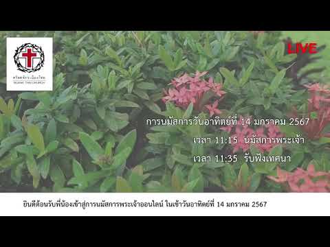 คำเทศนา@วันอาทิตย์ที่ 14 มกราคม 2024