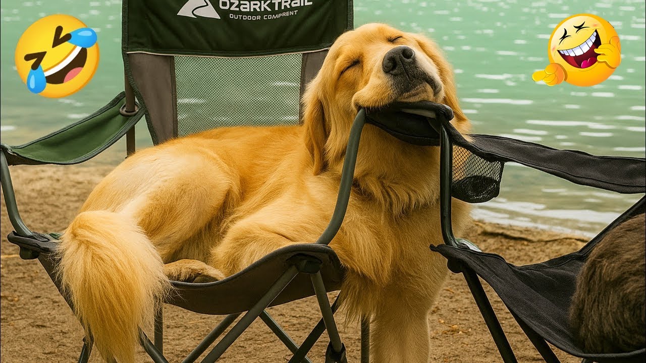 The Best Cute Dog Videos of 2025 🐶💕 | Viral Compilation