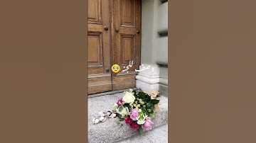 عَيْنًا فِيْهَا تُسَمَّى سَلْسَبِيلًا | معاذ شيخون | سورة الإنسان