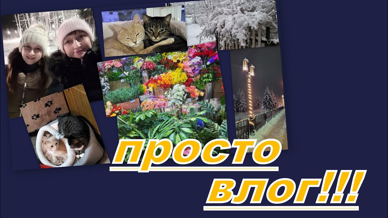 ВЛОГ: НИ О ЧЕМ... ОХ УЖ ЭТИ ЖЕНЩИНЫ, ДАЖЕ ПУШИСТЫЕ...