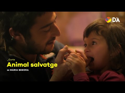 Animal salvatge |