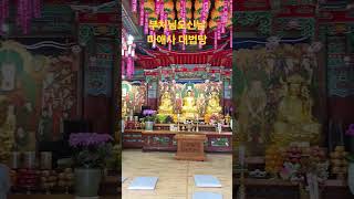 부처님오신날 마애사 무량수전 #부처님 #액운소멸 #삼재풀이 #소원성취 #극락왕생 #무병장수 #만사형통