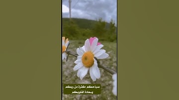 💐#قرآن_كريم 💐#قرآن #قرآن_كريم #تلاوة_خاشعة #تلاوة_هادئة