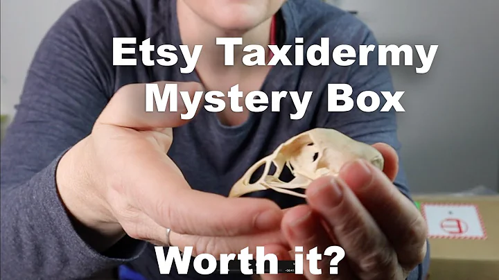 Unboxing Bizarre Taxidermy Mystery Box!