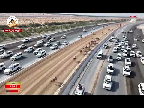 الشوط 2 بندقية الايذاع مفتوح سياف ل مبارك محمد بن قطامي السويدي 7 22 78 مهرجان الظفرة 2025