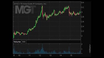 How Tim Grittani Made $60,000+ In 1 Day