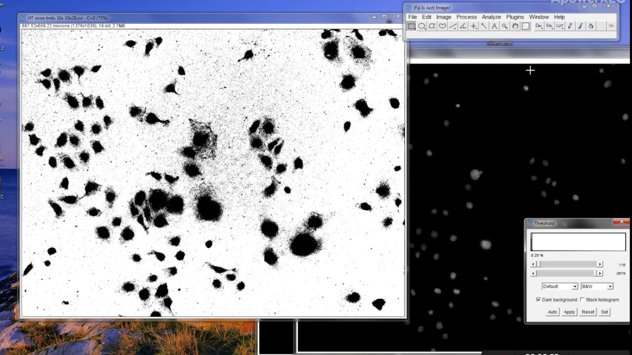 measure intensity imagej measure intensity imagej