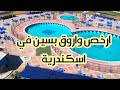 ارخص واروق بسين في اسكندرية في نادي ٦ اكتوبر للقوات المسلحة بأبو قير صيف 2025 ارخص واروق بسين في اسكندرية في نادي ٦ اكتوبر للقوات المسلحة بأبو قير صيف 2025