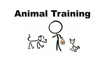 Animal Training - GM Screen - Shadowrun 5th Edition