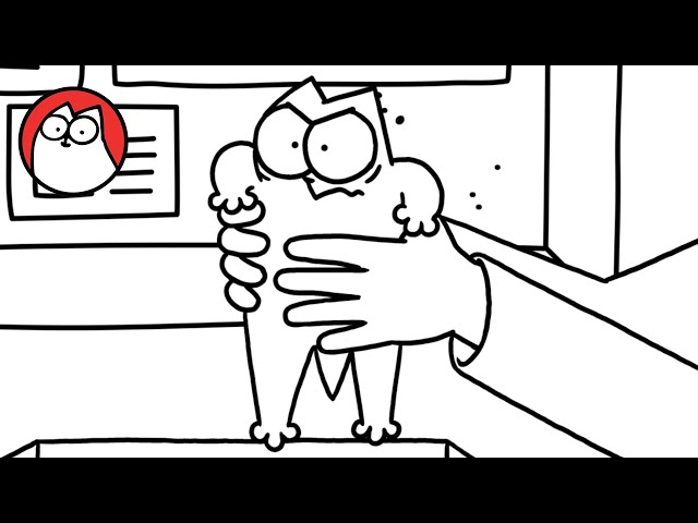 Simon's Cat - The Beginning - Asking Questions