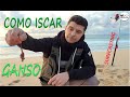 ISCAR MINHOCA GANSO NACIONAL, ISCO PARA PESCA DE PRAIA-SURFCASTING