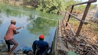 Single Small Hook fishing|Two types of fishes (Baam&amp;tilapia) Catching by fisherman|Unique fishing