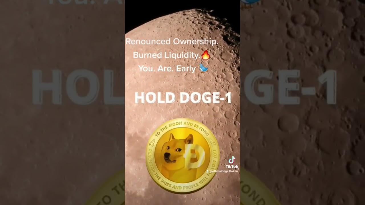 DOGE-1 mission to the moon! Fan TOKEN