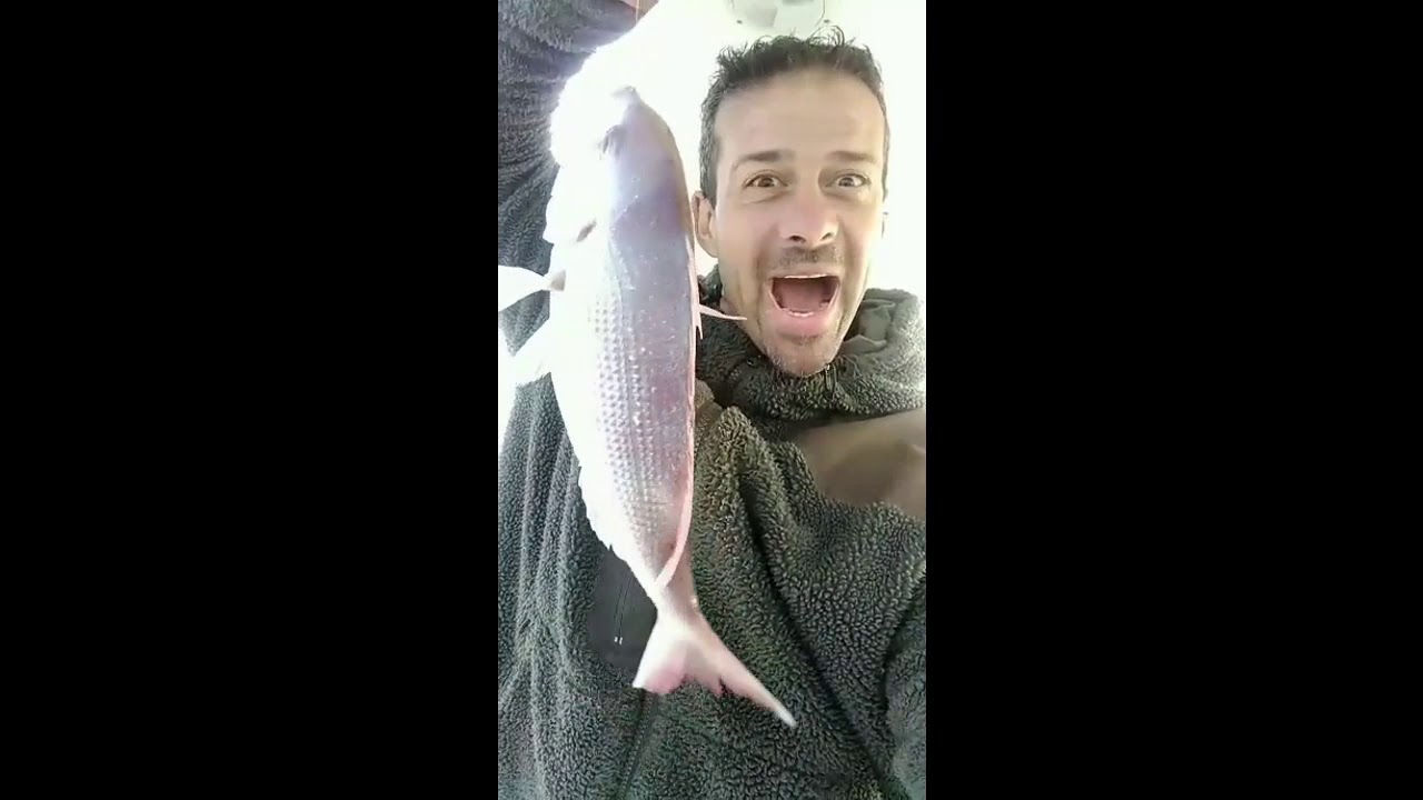 ⁣remix 2019 à bord d'El Chato