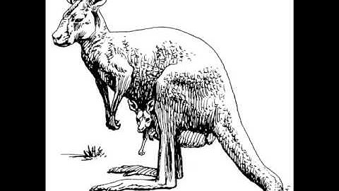 Takuya Morita - Kangaroo Notebook (Original Mix)