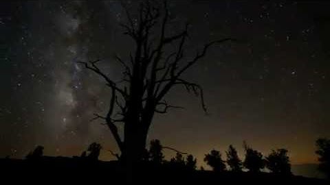 Genesis- Stagnation - Extract (FAMU)