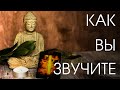 Он-лайн расклад что вы транслируете в мир, как звучите внутри и снаружи. Какой сейчас период жизни.