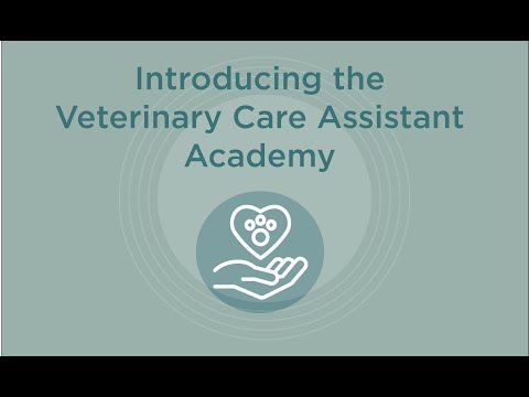 Introducing the VCA Academy