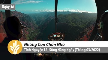 Những Con Chồn Nhỏ | Tĩnh nguyện Lời Sống Hằng Ngày  | 18 Tháng 03, 2022