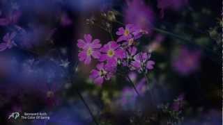 Video voorbeeld van "♥The Color of Spring - BERNWARD KOCH(Relaxing, soothing, emotional music)♥"